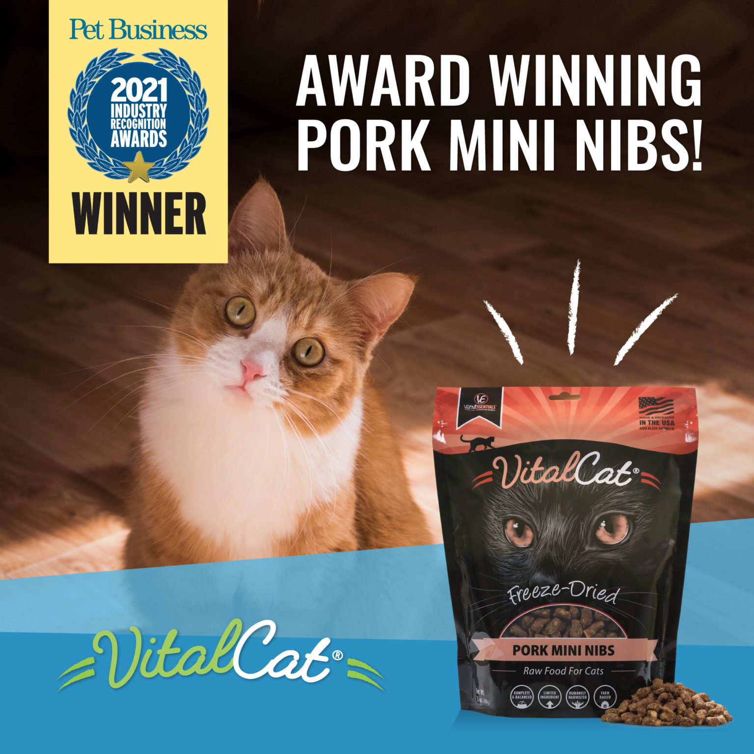 Pork Cat Food Wins Industry Award Carnivore Meat Company